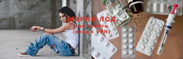 сатива Козельск