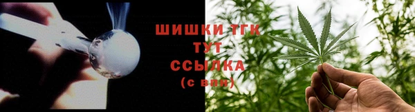 сатива Козельск