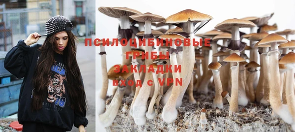 меф VHQ Козловка